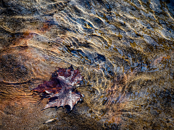 20210119-004