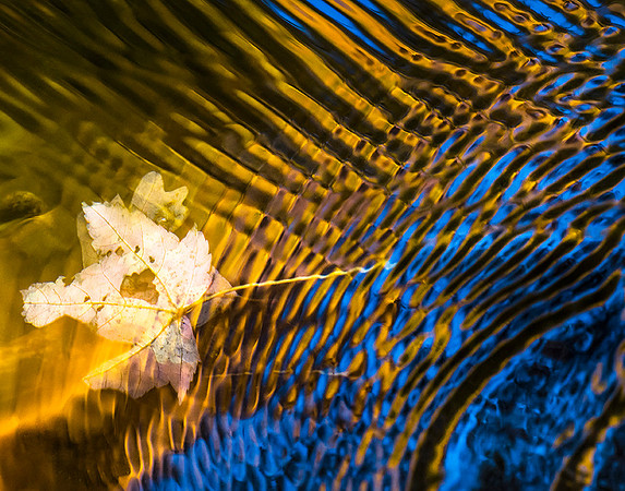 20151103_309