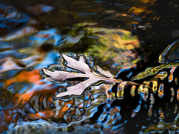 20161104_470