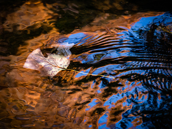 20191113_260