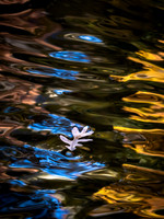 20191125_419