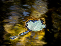 20191116_393