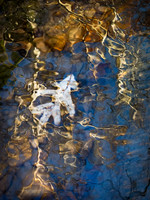 20181121_247